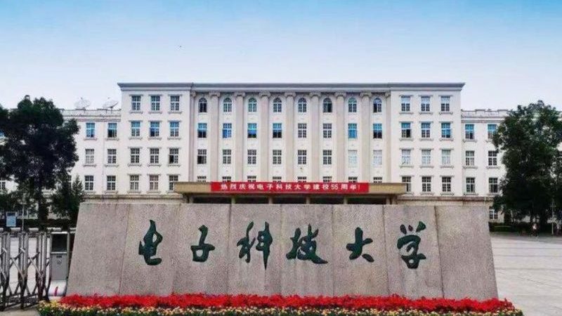 成都电子模块与芯片市场的差异解析