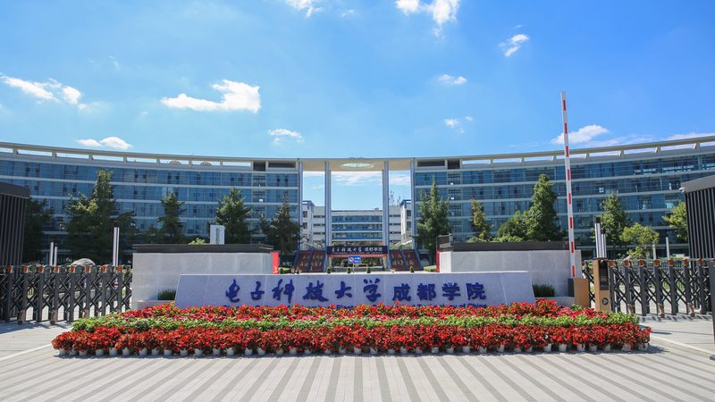 成都二极管厂家报价解析：揭秘行业定价逻辑