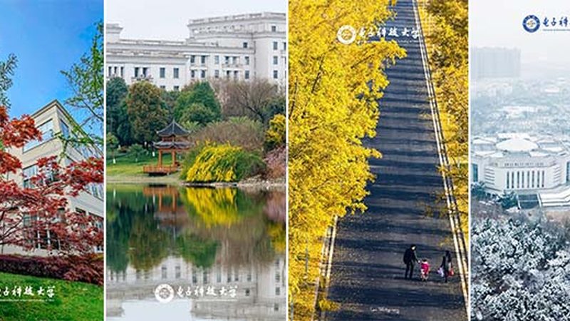 上海SMT贴片代工厂：揭秘其服务范围与关键考量